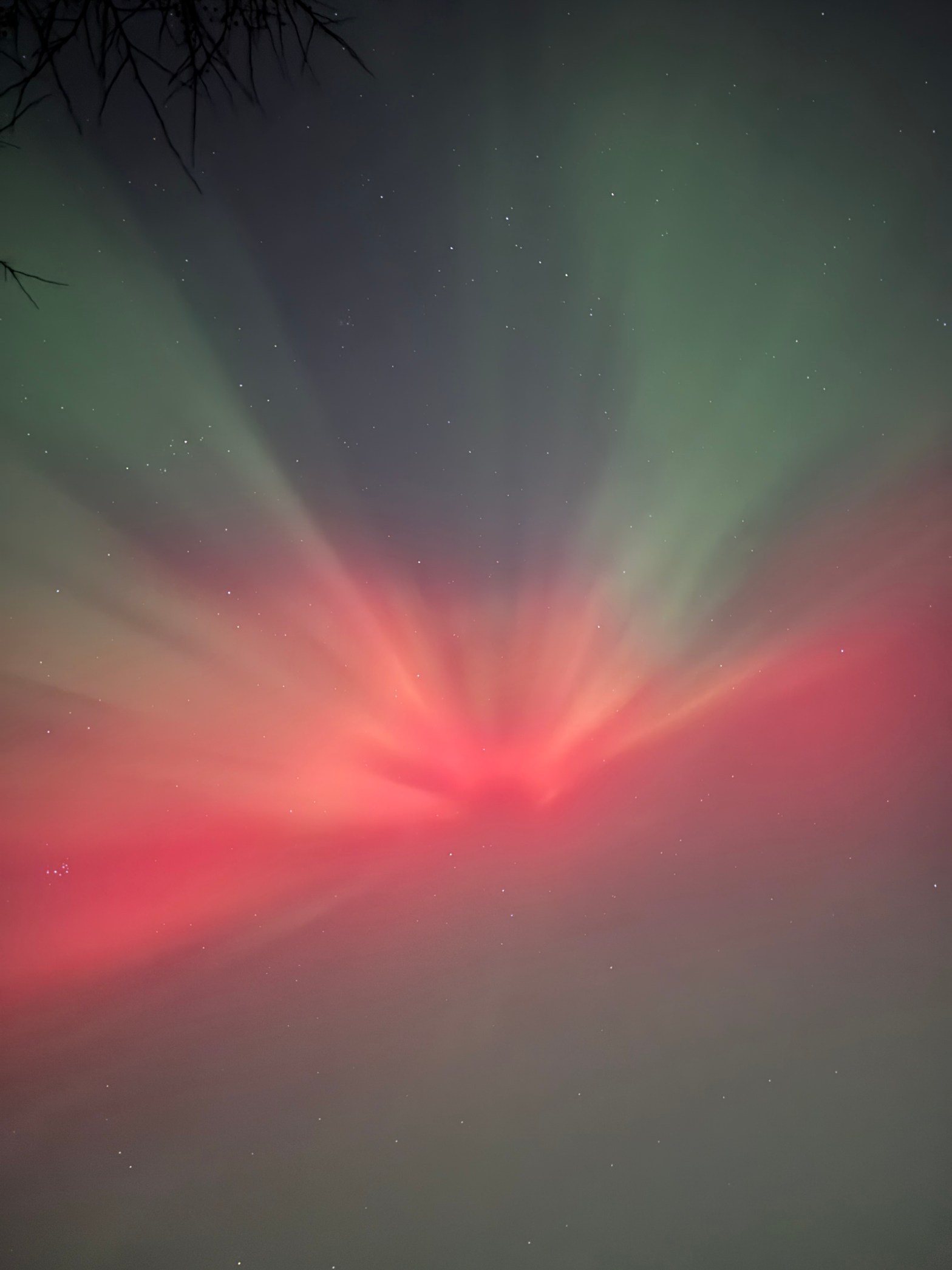 northern lights in Roseville, Minnesota, November 11, 2025